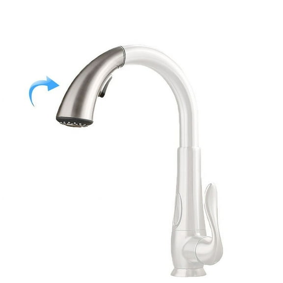 PFister 950-283S  Replacement Shower Head