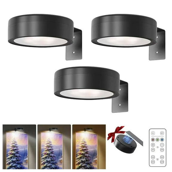 Behome 3 Pack Picture Lights, Magnetic Battery Operated Painting Light with 3 Color Temperatures and 5 Brightness, Remote Dimmable Timer Picture Frame Light for Art Painting, Art Display