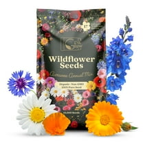 Awesome Annual Wildflower Seeds – 1oz Packet (15,000 Seeds, Covers 100 Sq Ft) | 18 Easy-Grow Flower Varieties | Organic, Non-GMO | Fast Blooming Garden Mix for Bees, Butterflies & Pollinators