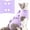 Purple, variant on Cat Recovery Suit Anti Licking, Cats Surgery Recovery Suit Female Kitten Onesie After Spay, Cone of Shame Alternative, Post-Surgery Kitten Surgical Clothes for Abdominal Wounds,Kont Pink,(S)