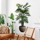 thumbnail image 5 of Herunwer Fake Tree Artificial Trees for Indoor and Outdoors Artificial Tree Plants Tree with Natural Trunks for Home Decor Home Plants, 5 of 5