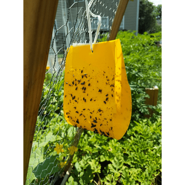 AgBio AB-103 Cucumber Beetle Trap & Lure (2 Pack)