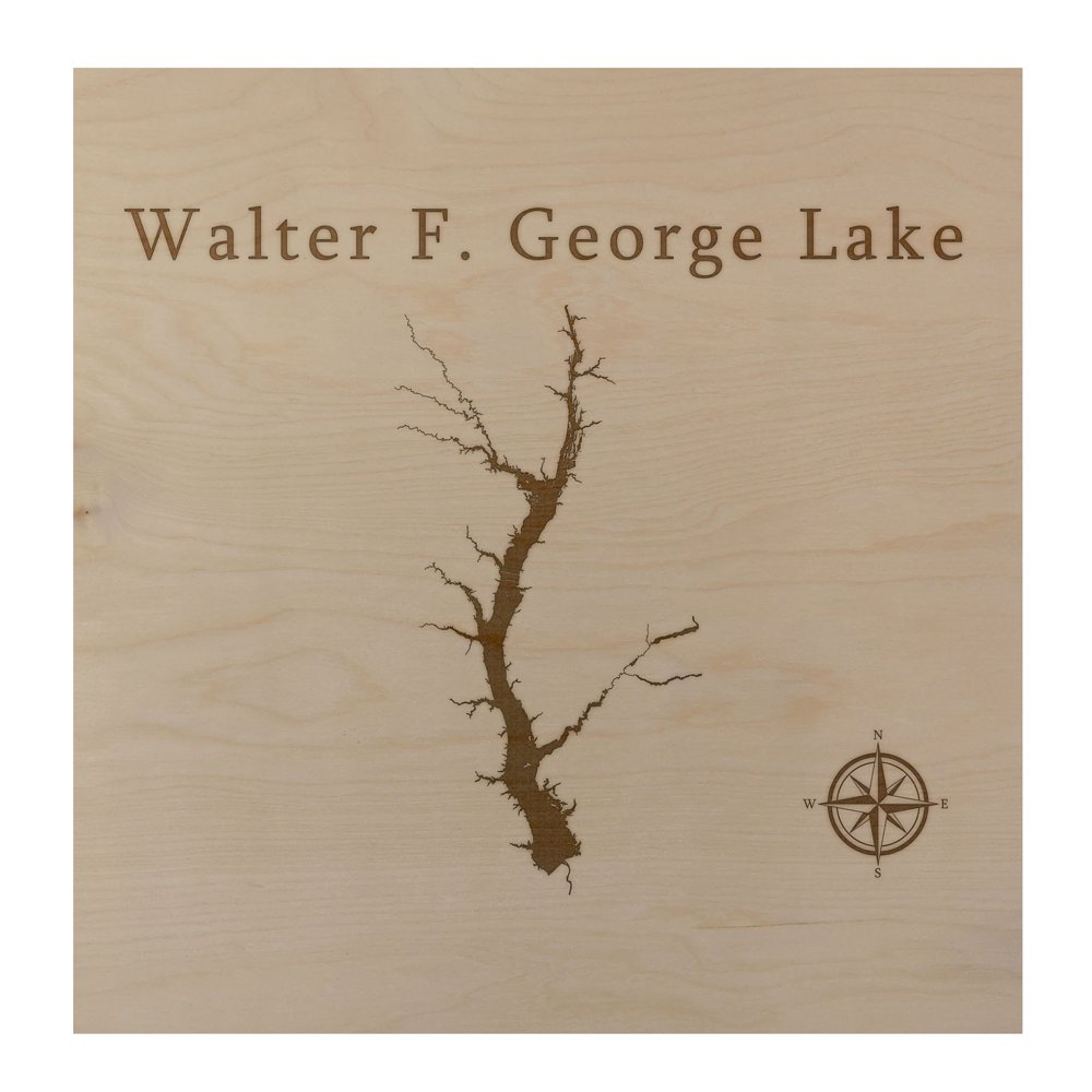 Walter F. Lake Map 24x24" Wood Wall Art Office Decor Gift
