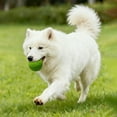 thumbnail image 5 of Rubber Durable Interactive Feeding Suitable For Puppies And Large, 5 of 5