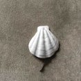 thumbnail image 4 of DVKOVI Mini Ocean Resin Animals Starfish Seashell Tiny Sea Models for Miniatures DIY Fish Tank Micro Landscaping E One Size, 4 of 5