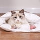 thumbnail image 2 of Arena para mascotas Arena para gatos Saco de dormir para gatos lavable y extraíble Edredón para gatos Perrera Arena para gatos Saco de dormir para gatos Rosa L oso de fresa Electrónica, 2 of 5