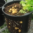 thumbnail image 2 of OULII 2Ud Macetas De Plástico Negros Para Plantación De Con Y Duradero, 2 of 6