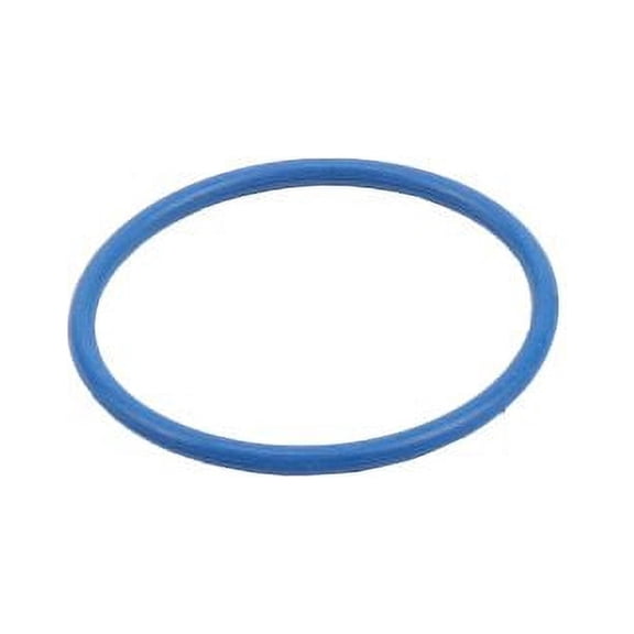 Fuel Pump Housing O-Ring Seal