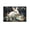 Unframe, variant on Larbulse Easter White Bunny Eggs Canvas Wall Art Home Decor Poster Vintage Funny Print Picture Abstract Bedroom Living Room Kitchen Posters Decor