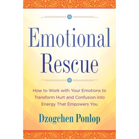 Pre-Owned Emotional Rescue: How to Work with Your Emotions to Transform Hurt and Confusion Into Energy That Empowers You (Paperback) 0143130412 9780143130413