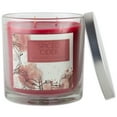DII Home Traditions 3Wick Evenly Burning Highly Scented 4x4 Large Jar