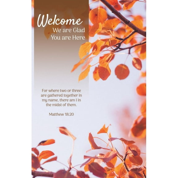 B&H Publishing 381488 Welcome We Are Glad You Are Here Matthew 18-20 KJV Bulletin - Pack of 10