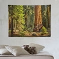 thumbnail image 4 of ONETECH  Autumn Tree California Tapestry, Redwood Trees Sequoia National Park Large Wall Hanging Tablecloths Psychedelic Tapestry Bedroom Living Room Dorm(Redwood Green Wood), 4 of 7