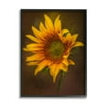thumbnail image 2 of Stupell Industries Modern Detailed Sunflower Petals Botanical & Floral Painting White Framed Art Print Wall Art, 2 of 5