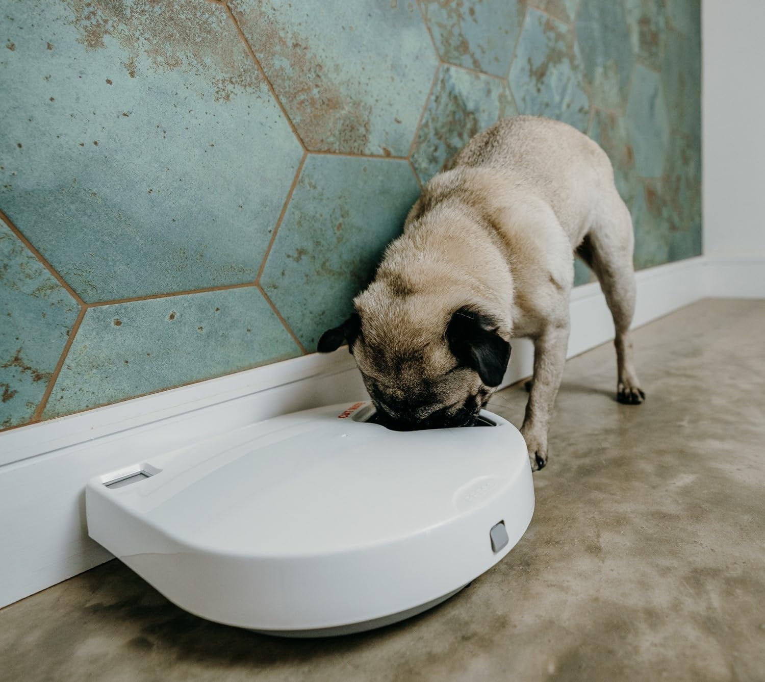 C500 Automatic 5 Bowl Digital Timer-Controlled Pet Feeder for Cats and Small Dogs with Twin Ice Packs