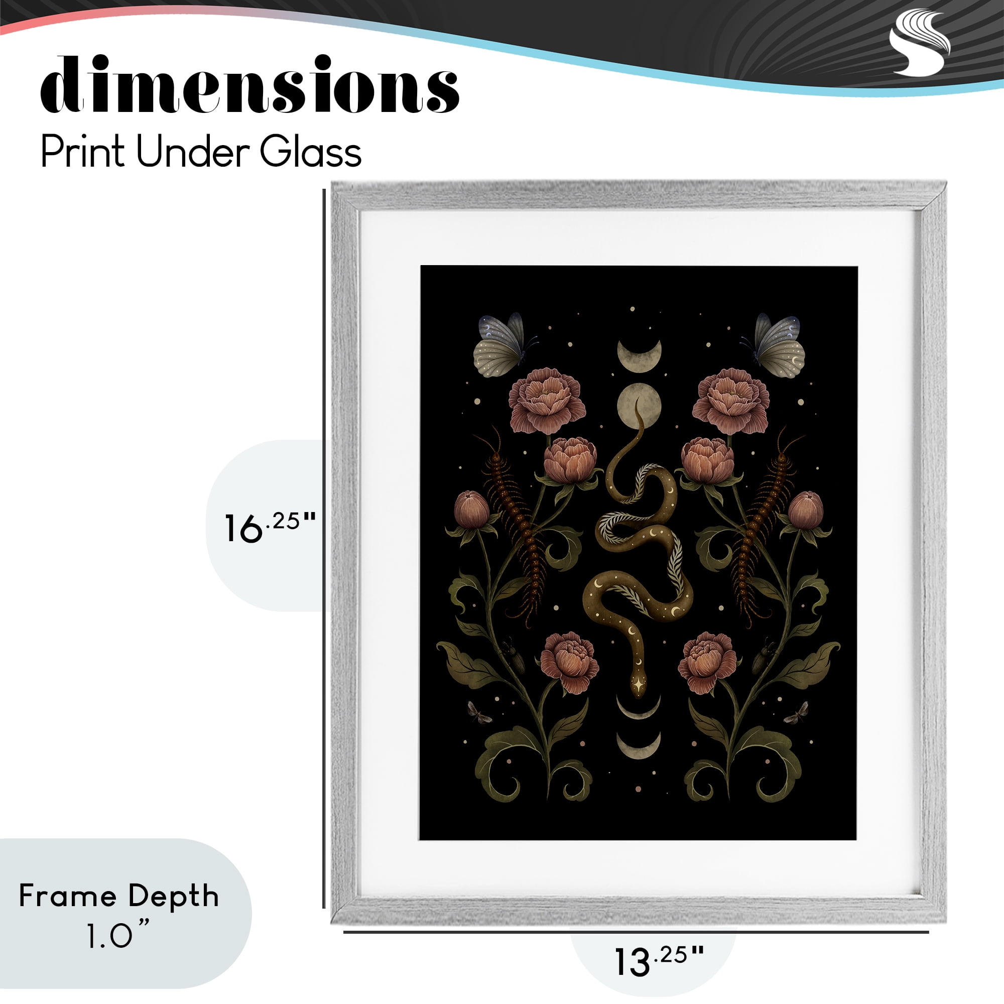 Stupell Industries Serpentine Garden Symmetry Gray Framed Print Under Glass, design by Episodic Drawings