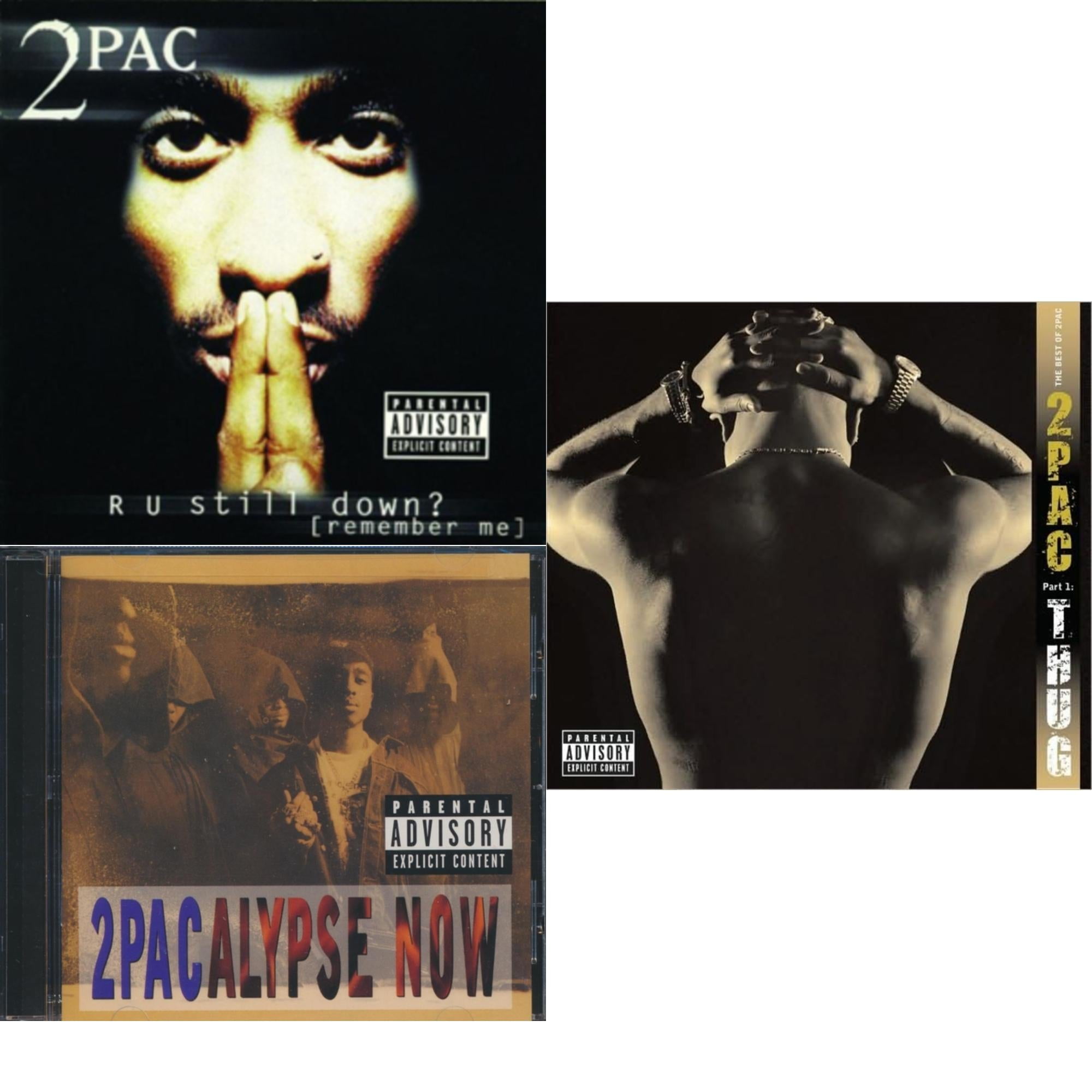 Best Of 2Pac Part 1: Thug & Greatest Hits [CD Bundle] - Walmart.com