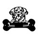 thumbnail image 1 of Colgador de llaves de pared con ganchos para llaves, versátil, de 15 cm de longitud, de metal, para toallas. perro perdiguero de oro, 1 of 9