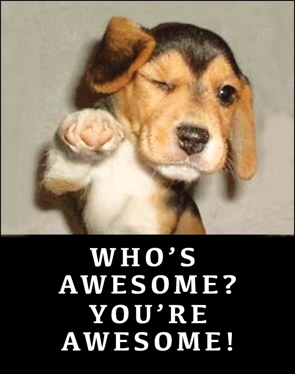 your awesome dog