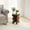 Seaweed-Brown, variant on Permory MDF Frame Side Table with Brown Tempered Glass Top, Mortise and Tenon Joint Design, No Screw Easy Assembly, Sturdy End Table for Living Room, Bedroom