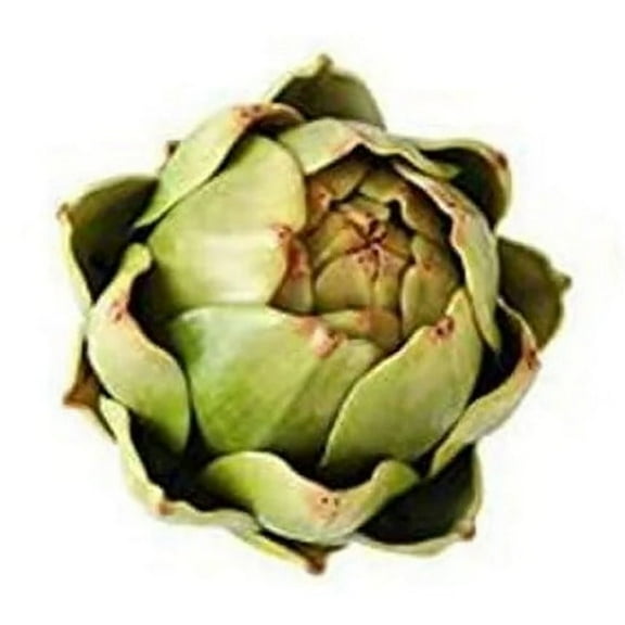 QITOWM 6-piece Set Of Artificial Artichoke Vegetables, Suitable For Home Wedding Table Decoration, Premium Kitchen and Dinner Table Decor (Green)