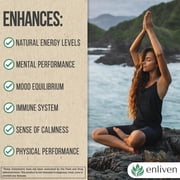 Enliven Panax Ginseng & Ginkgo Biloba Extract Supplement, 60 Capsules, Herbal Support