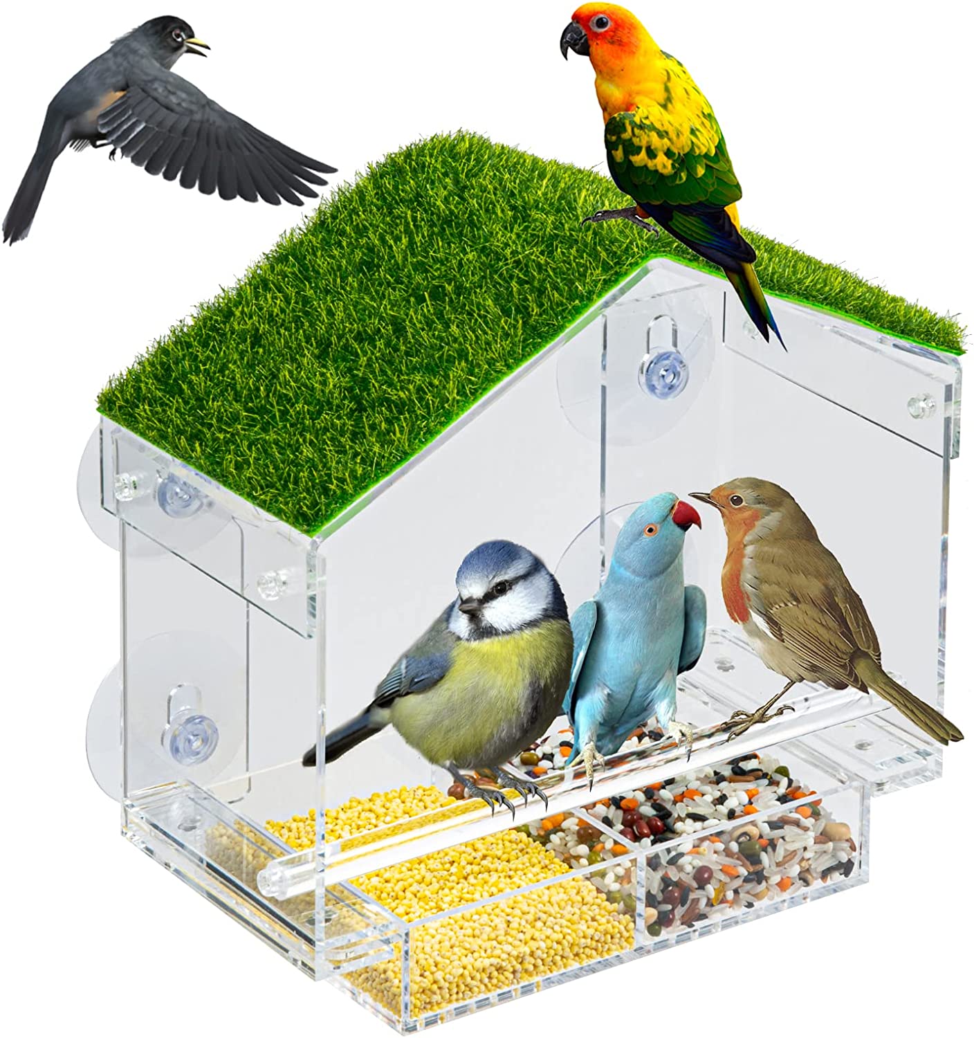 Window Bird Feeder Outdoor Bird Feeders with Strong Suction Cups, Drain