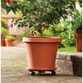 thumbnail image 2 of Bloem Terra Planter 4.25 x 3.75 Plastic Round - Terra Cotta Color, 2 of 5