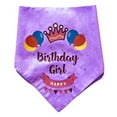 thumbnail image 4 of Bienvenido gato y perro falda de cumpleaños fiesta tirar bandera bufanda sombrero accesorios de decoración, 4 of 5