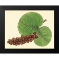thumbnail image 2 of Alexander, Zachary 24x20 Black Modern Framed Museum Art Print Titled - Palmetto II, 2 of 5