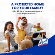 Lysol Disinfectant Spray, Sanitizing and Antibacterial Spray, Deodorizer, Crisp Linen, 19 oz