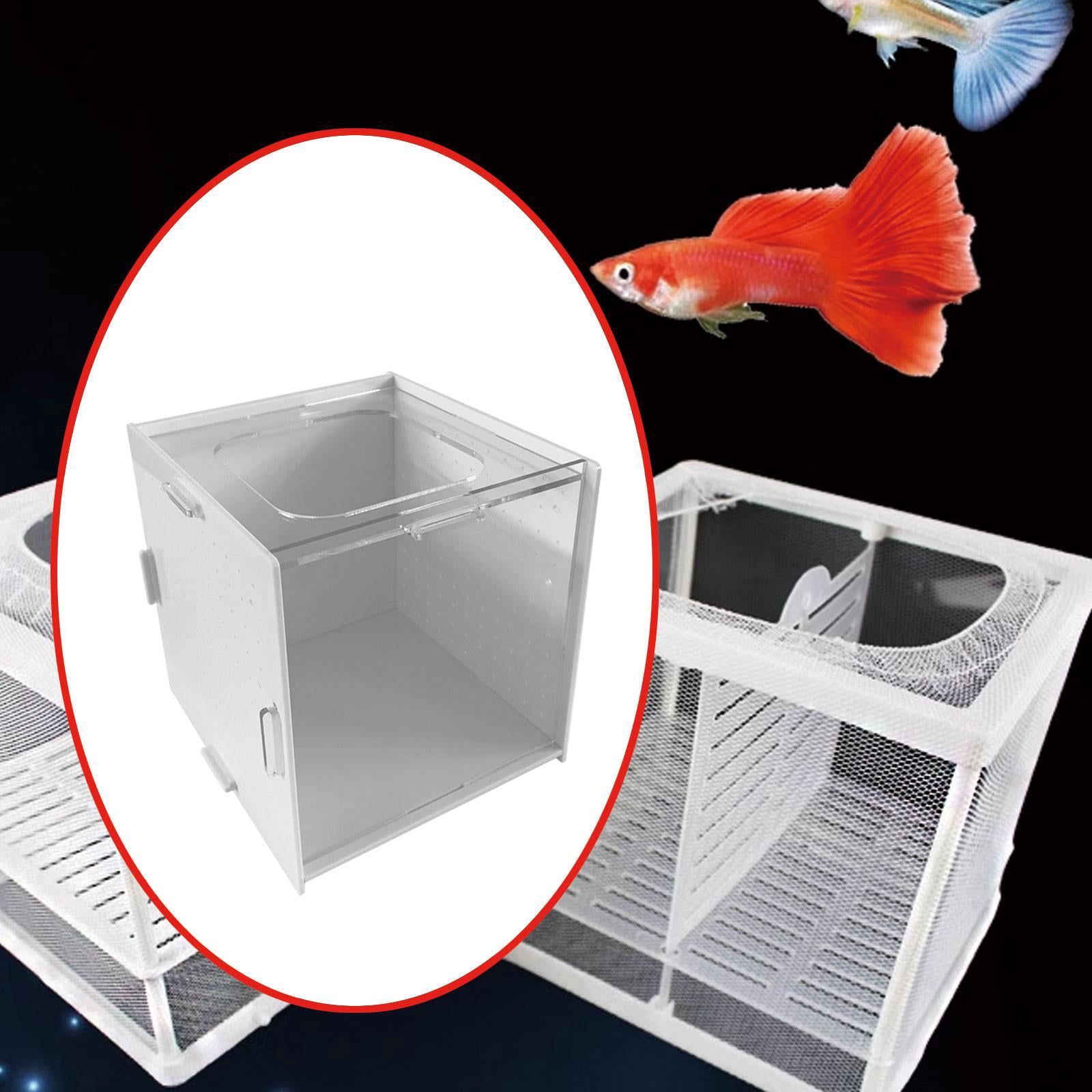 Aquarium Pour Poisson Betta - Acrylique Transparent - Avec Décor Escaladable - Ouverture Supérieure Pour Nourriture - Bureau/Salon