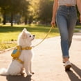 thumbnail image 3 of Escape Proof Cat/Dog Harness and Leash Set, Adjustable Soft & Breathable Vest for Secure Walking, Cute Cartoon Starfish Backpack Design for Small Medium Dogs and Cats,Yellow,M, 3 of 4