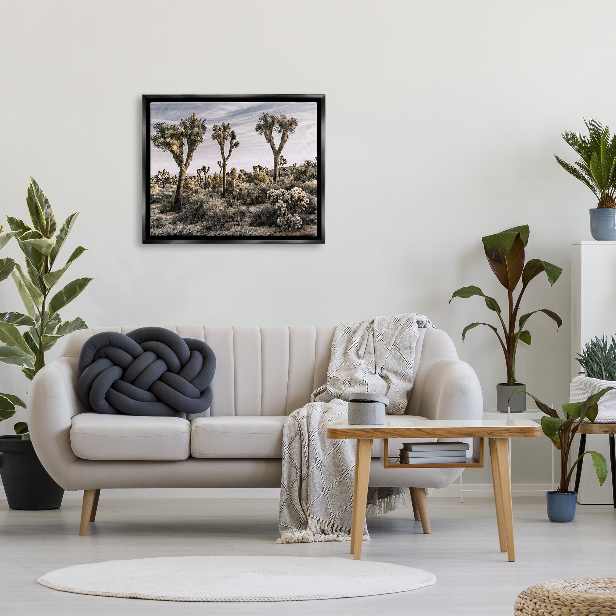 Stupell Industries Desert Cacti Vegetation Landscape Photography Black Floater Framed Canvas Art Print Wall Art, 31 x 25