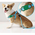 thumbnail image 4 of Soporte para etiqueta de perro Airtag Compatible con Apple Air Tag GPS 2 Pack JAMW Sencillez, 4 of 5