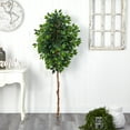 thumbnail image 3 of Nearly Natural 6' Ficus Artificial Tree (No Pot), Green, 3 of 3