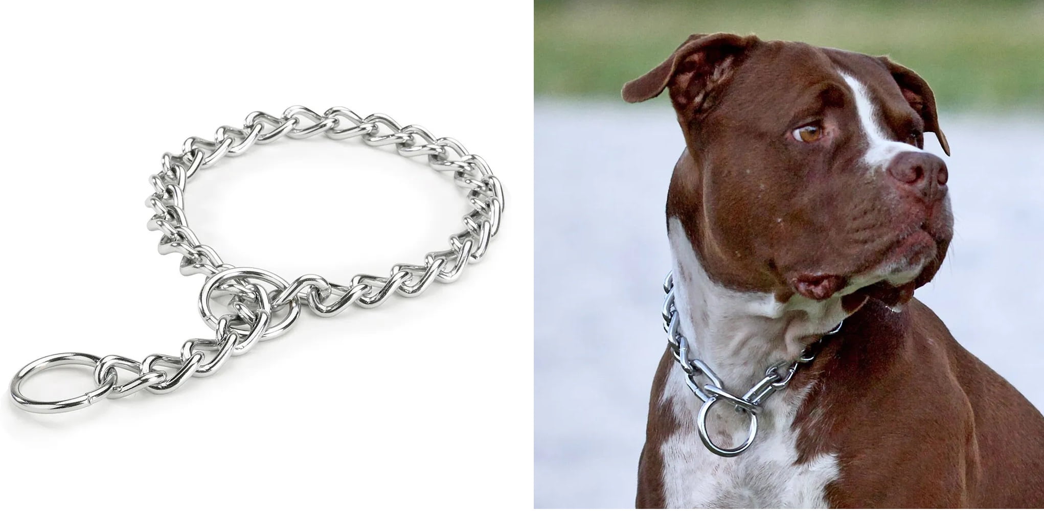 Thick chain cheap dog collars