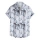 thumbnail image 1 of Hombres Casual Botones Playa Sin posicionamiento Estampado Turndown Camisa de manga corta Blusa Pompotops oipoqjl49430, 1 of 8