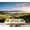 Color 4, variant on Wall Mural Peel and Stick Sunrise mist scenic California Self-Adhesive Wallpaper Removable Wall Decal Wall Sticker Home Decor for Living Room Bedroom 100"x144"