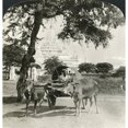 thumbnail image 2 of Burma Ananda Temple C1907. N'The Ananda Temple Most Splendid Of The Many Shrines Which Once Adorned Pagan Burma.', 2 of 4