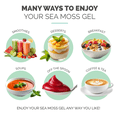 thumbnail image 3 of Irish Sea Moss Gel (Mixed Berry) - LARGE 16 OZ - Real Fruit - Wildcrafted Sea Moss, 3 of 7