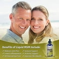 Dexterity Health Liquid MSM Drops, 4 oz. DropperTop Bottle, 100