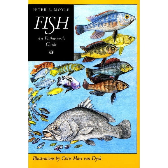 Fish: An Enthusiast's Guide, (Paperback)