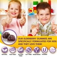thumbnail image 3 of Health Supplied Sambucus Black Elderberry Gummies for Kids | Triple Immune Support | Elderberry Plus Vitamin C & D, 3 of 11