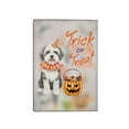 thumbnail image 2 of Trick or Treat Old English Sheepdog Funny Mummy Cosplay Pumpkin Candy Basket Travel Passport Wallet Dog Lover PU Leather Passport Holder Cover - 12016, 2 of 5