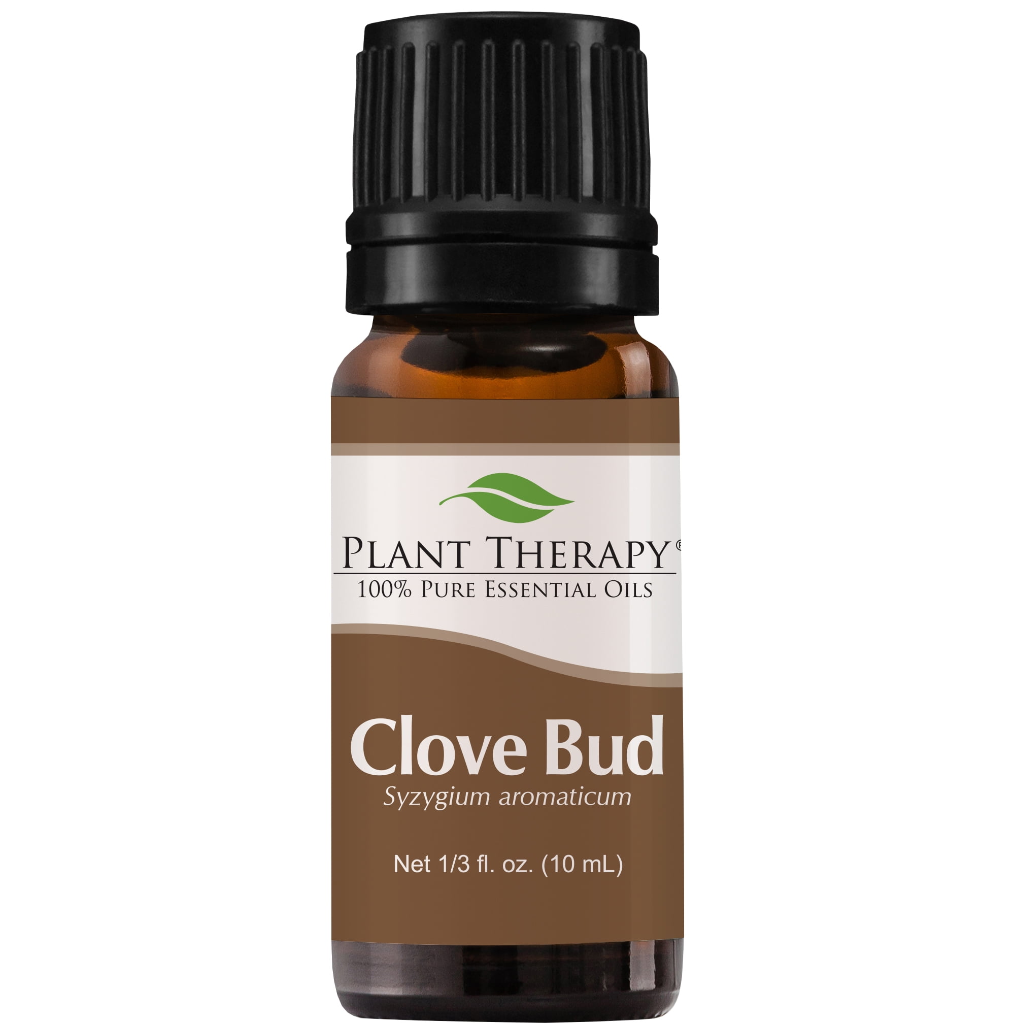 Plant Therapy Clove Bud Essential Oil 100 Pure