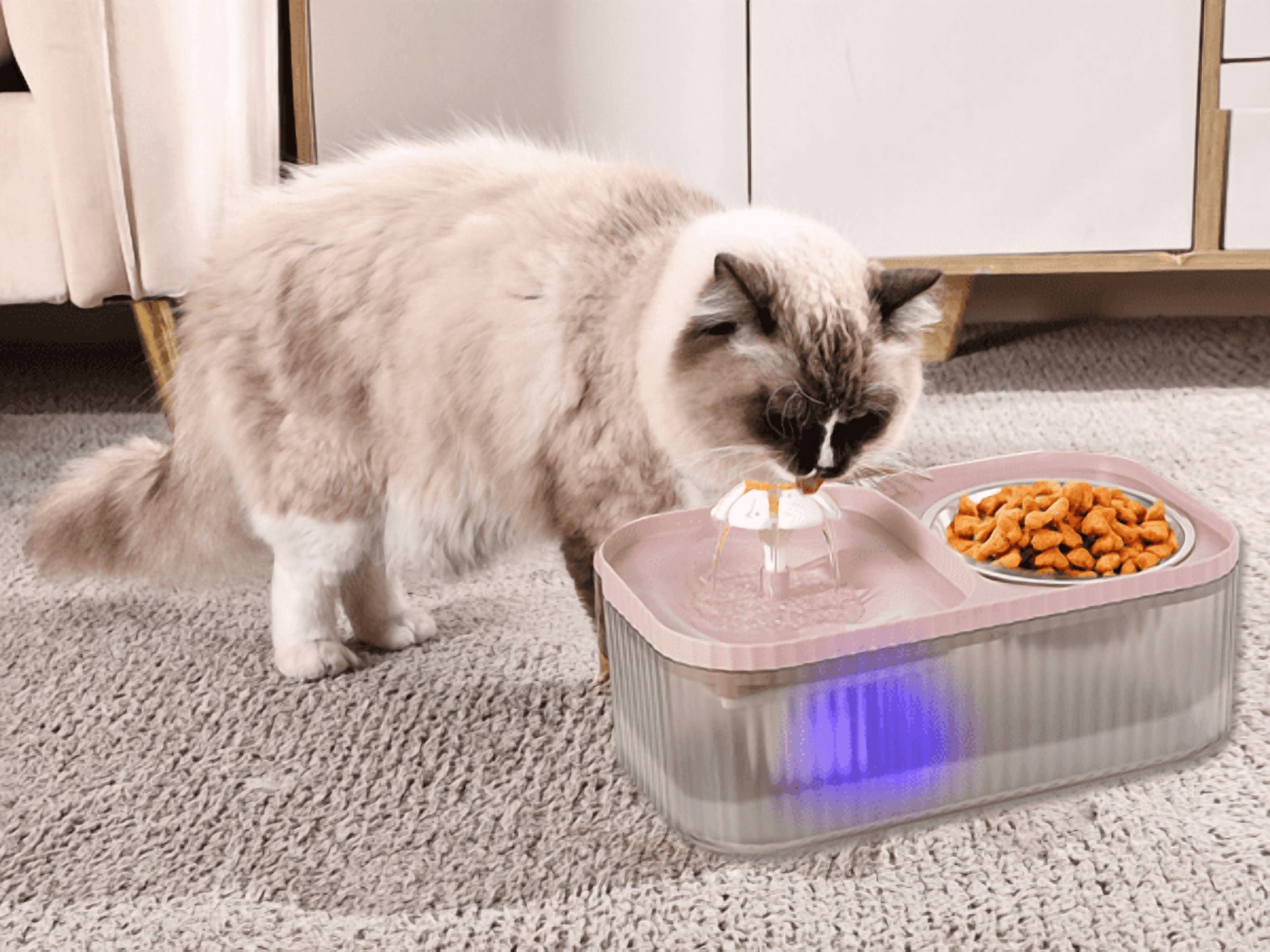 Marchul 3L Cat Water Fountain & Food Bowl,Automatic Pet Water Dispenser with Stainless Steel Cat Bowl Set, BPA-Free, 3 Replacement Filters, Pink