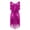 Rose, variant on inhzoy Women's V Neck Shiny Sequins Tassel Latin Dance Dress