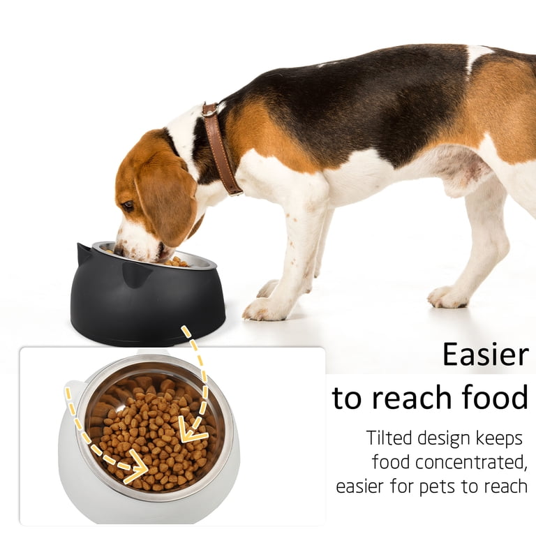Prdigy Tilted Cat Bowls, Stainless Steel 2-Pack photo 5