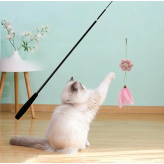 Yirtree Cat Fishing Pole Toy, Retractable Feather Wand with Reel, Interactive Cat Teaser for Indoor Cats - Walmart.com Yirtree Cat Fishing Pole Toy, Retractable Feather Wand with Reel, Interactive Cat Teaser for Indoor Cats - Walmart.com
